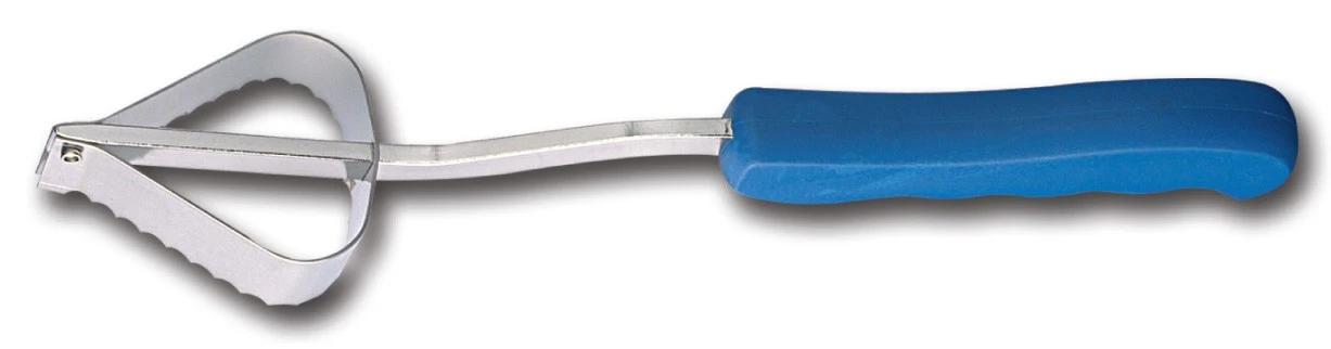 FISCHER Professional Fish Scaler 16cm - Blue Handle 1 FISCHER Professional Fish Scaler 16cm - Blue Handle