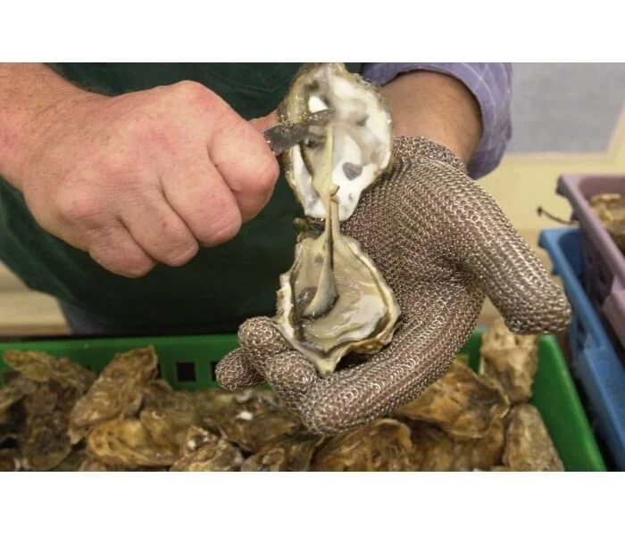 Fischer WILCO Chainmail Ambidextrous Glove - Medium Size 2 Fischer WILCO Chainmail Ambidextrous Glove - Medium Size - Image 2